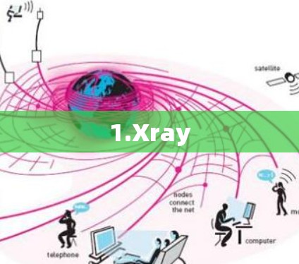 1.Xray 1.Xray
