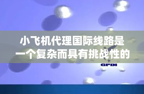 小飞机代理国际线路是一个复杂而具有挑战性的业务，涉及多方面的运作和协调。以下是对该业务的系统性分析和总结