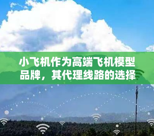 小飞机作为高端飞机模型品牌，其代理线路的选择需要结合市场定位、目标客户群体以及销售渠道的特点。以下是一些建议和可能的代理线路方向