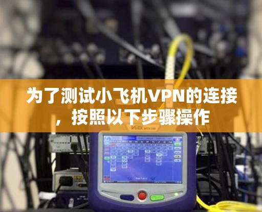 为了测试小飞机VPN的连接，按照以下步骤操作