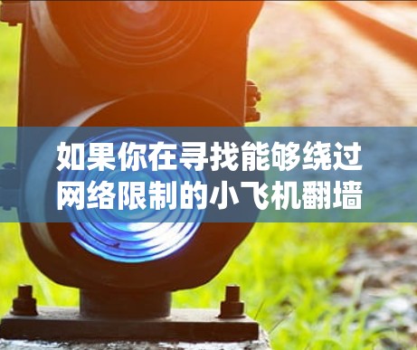 如果你在寻找能够绕过网络限制的小飞机翻墙应用，以下是一些常见的翻墙工具和方法的推荐。请注意，这些工具可能会绕过某些地区的网络限制，但也可能涉及法律或道德问题，因此使用时需谨慎
