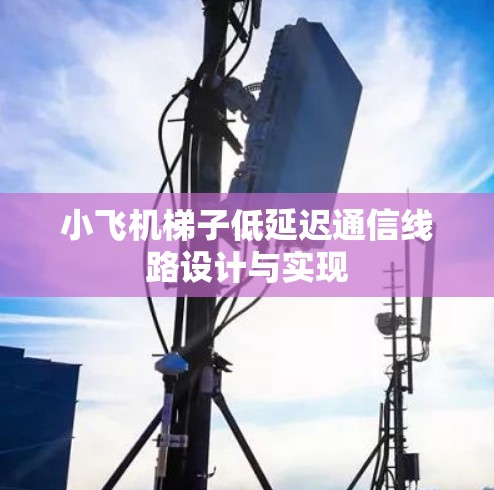 小飞机梯子低延迟通信线路设计与实现 小飞机梯子低延迟通信线路设计与实现