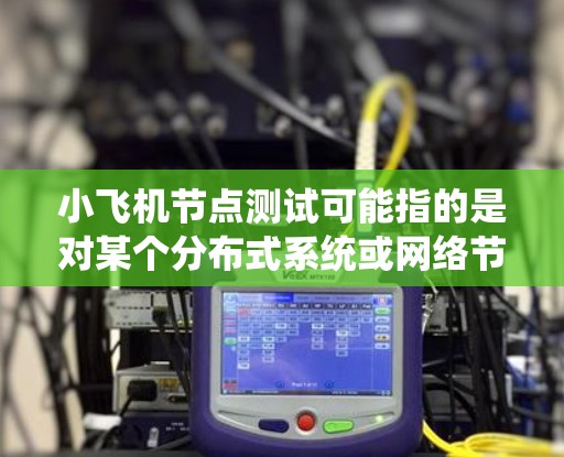 小飞机节点测试可能指的是对某个分布式系统或网络节点的测试，特别是在小飞机项目中的节点功能验证。以下是一些可能的测试步骤和注意事项