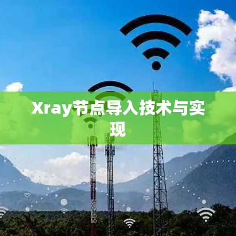 Xray节点导入技术与实现