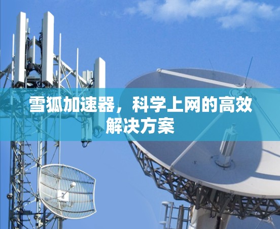 雪狐加速器,科学上网的高效解决方案
