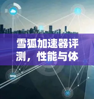 雪狐加速器评测，性能与体验的全面解析