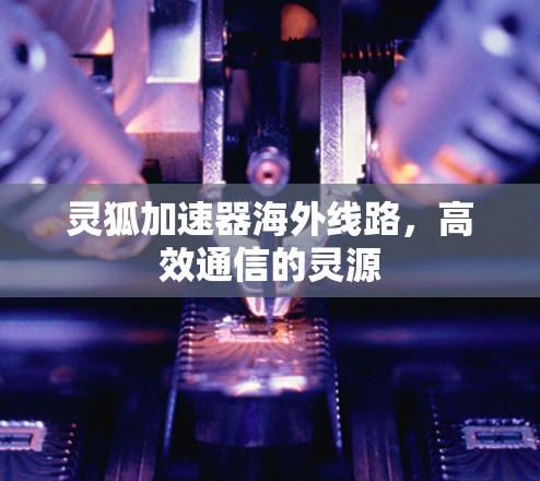 灵狐加速器海外线路,高效通信的灵源