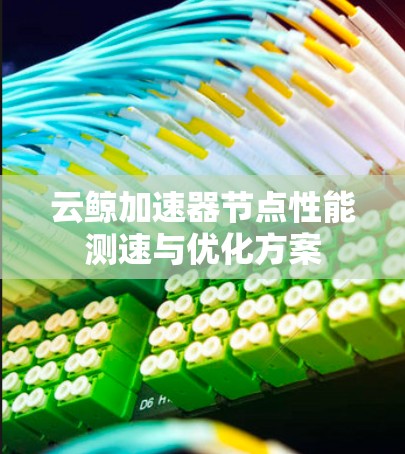 云鲸加速器节点性能测速与优化方案