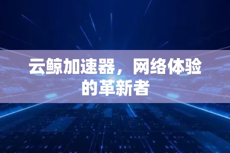 云鲸加速器,网络体验的革新者