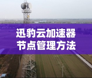 迅豹云加速器节点管理方法与应用探讨