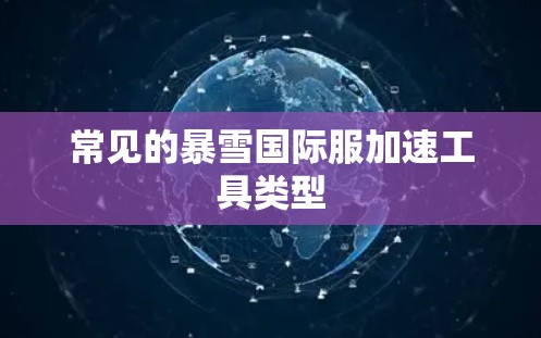 常见的暴雪国际服加速工具类型