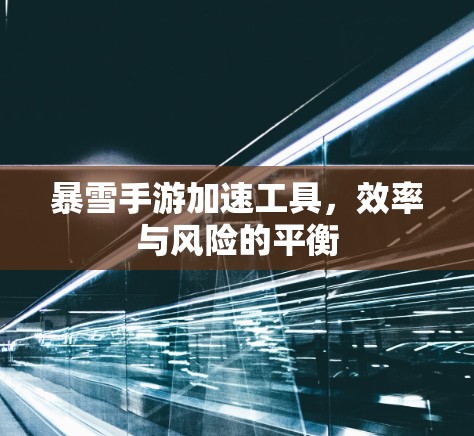 暴雪手游加速工具,效率与风险的平衡