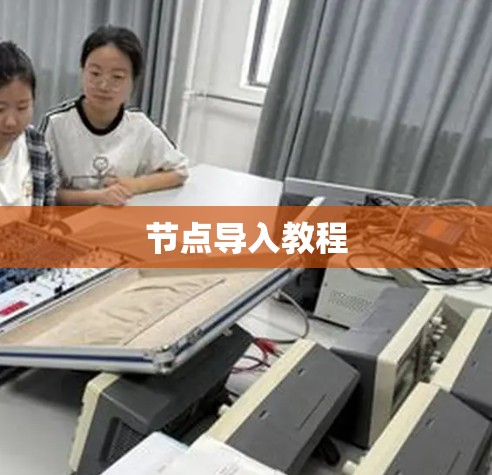 节点导入教程