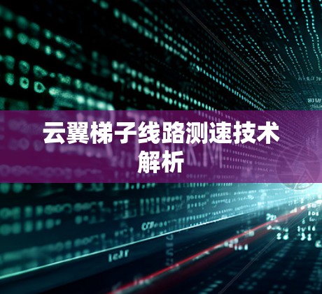 云翼梯子线路测速技术解析