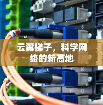 云翼梯子,科学网络的新高地