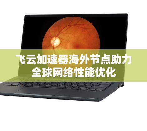 飞云加速器海外节点助力全球网络性能优化