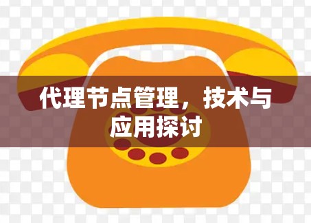 代理节点管理,技术与应用探讨