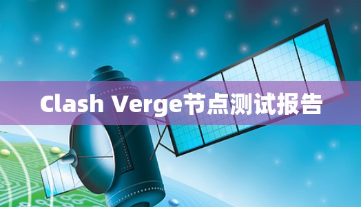 Clash Verge节点测试报告