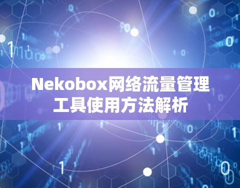 Nekobox网络流量管理工具使用方法解析