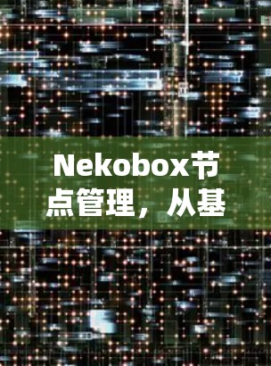 Nekobox节点管理,从基础到高级操作指南