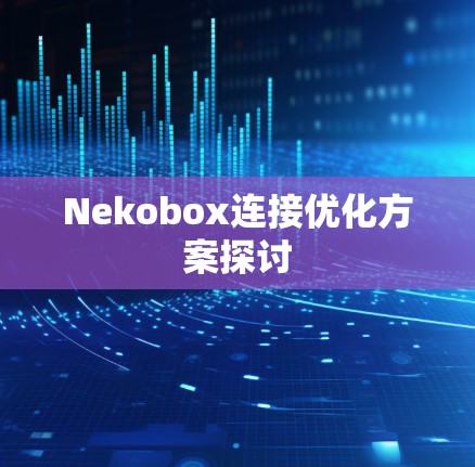 Nekobox连接优化方案探讨