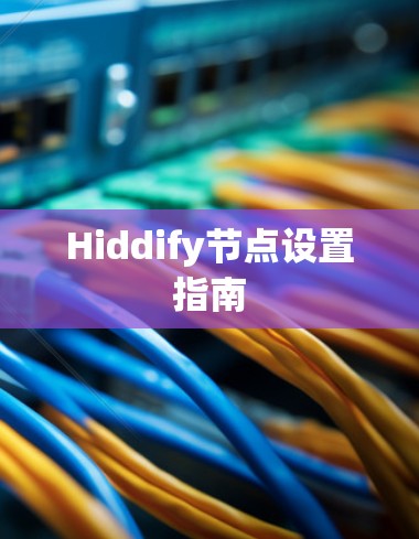 Hiddify节点设置指南
