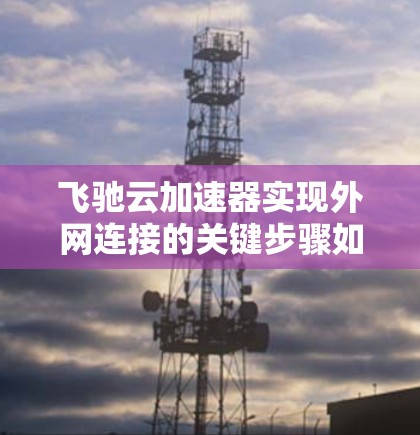 飞驰云加速器实现外网连接的关键步骤如下