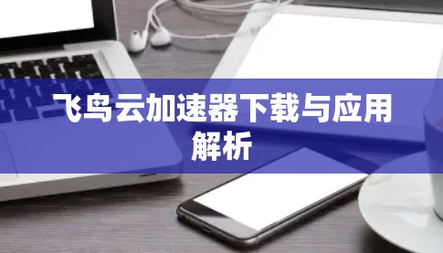 飞鸟云加速器下载与应用解析