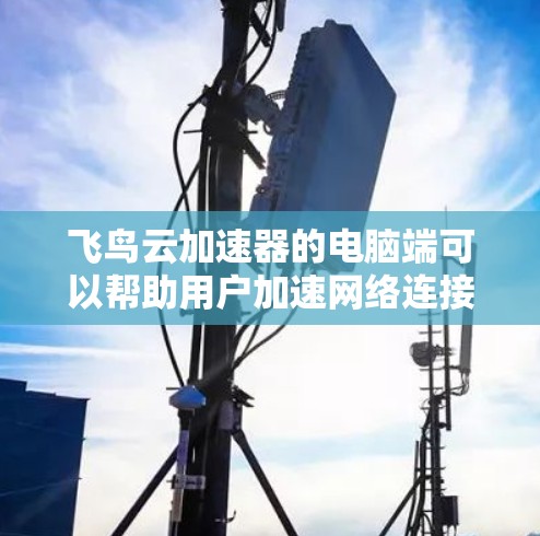 飞鸟云加速器的电脑端可以帮助用户加速网络连接,提升数据传输和应用性能。以下是使用飞鸟云加速器电脑端的基本步骤和注意事项