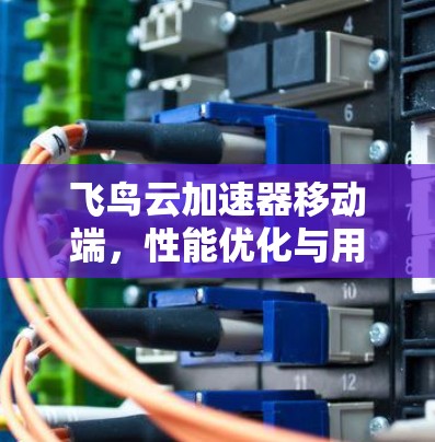 飞鸟云加速器移动端,性能优化与用户体验提升