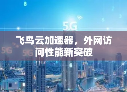 飞鸟云加速器,外网访问性能新突破
