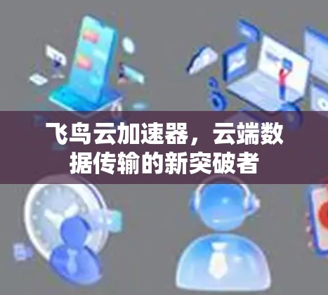飞鸟云加速器,云端数据传输的新突破者