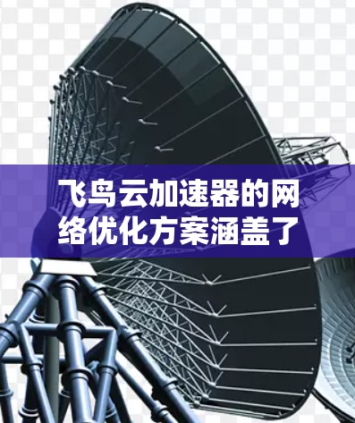飞鸟云加速器的网络优化方案涵盖了多个关键方面,旨在提升网络性能和用户体验。以下是该方案的详细分解