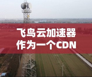 飞鸟云加速器作为一个CDN服务,确实能够有效提升网站的加载速度和性能,尤其是在处理图片、静态资源和优化代码方面表现优异。以下是对飞鸟云加速器的详细分析和总结