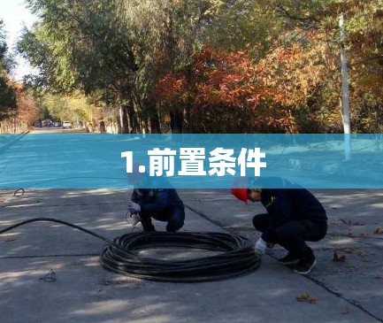 1.前置条件