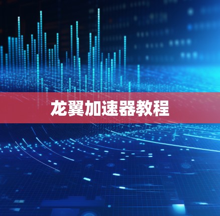 龙翼加速器教程