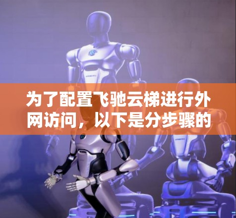 为了配置飞驰云梯进行外网访问,以下是分步骤的解决方案