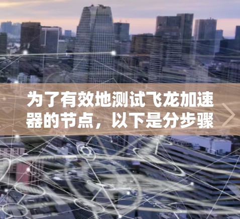 为了有效地测试飞龙加速器的节点，以下是分步骤的测试计划和步骤说明