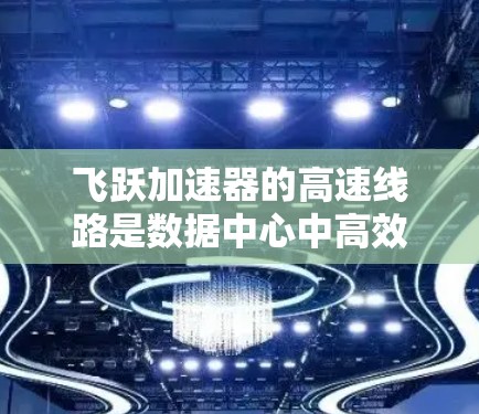 飞跃加速器的高速线路是数据中心中高效传输数据的关键组成部分,通过优化数据传输速度和带宽,支持云计算、大数据和AI等高性能需求。以下是对飞跃加速器高速线路的详细分析
