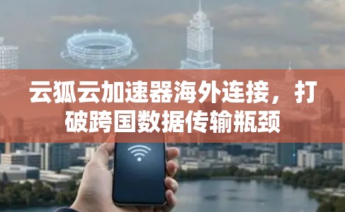 云狐云加速器海外连接,打破跨国数据传输瓶颈