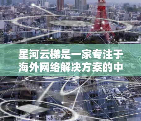 星河云梯是一家专注于海外网络解决方案的中国公司，主要为跨国企业提供云计算、网络安全和大数据解决方案。以下是对星河云梯海外网络的详细分析