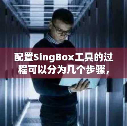 配置SingBox工具的过程可以分为几个步骤，确保每个部分都正确设置以实现预期功能。以下是详细的配置步骤