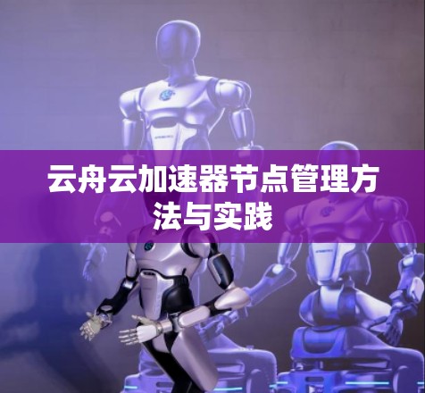 云舟云加速器节点管理方法与实践