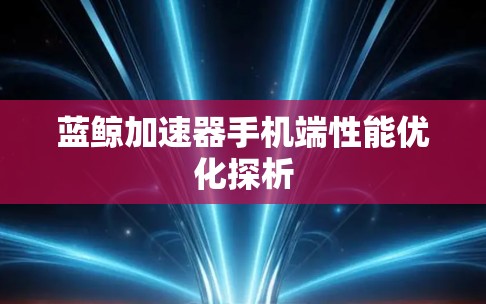 蓝鲸加速器手机端性能优化探析
