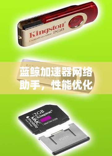蓝鲸加速器网络助手,性能优化与效率提升的无缝解决方案