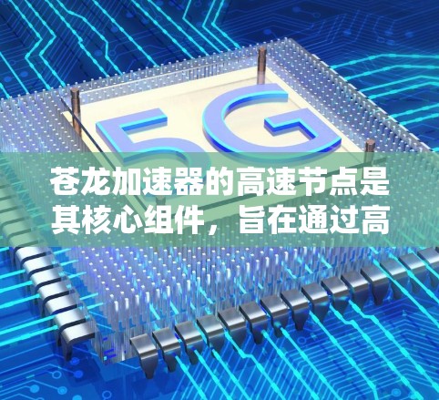苍龙加速器的高速节点是其核心组件，旨在通过高效的计算能力加速数据处理和模型训练任务。以下是对苍龙加速器高速节点的详细分析