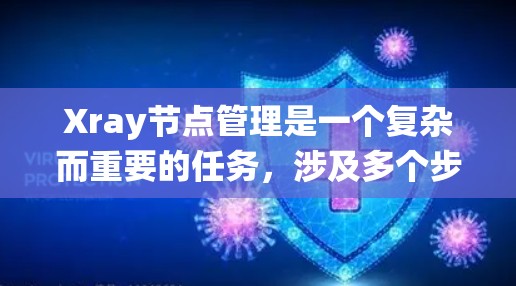 Xray节点管理是一个复杂而重要的任务,涉及多个步骤和考虑因素。以下是对Xray节点管理的系统化总结,帮助您全面掌握这一过程