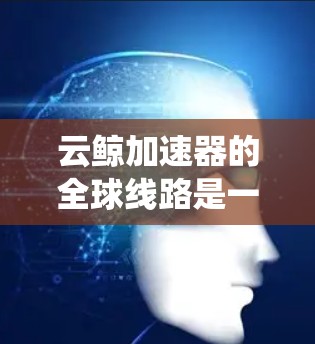 云鲸加速器的全球线路是一个高度优化的网络系统,旨在为企业提供高效、安全的数据传输解决方案。以下是对其全球线路的详细分析