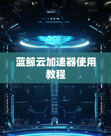 蓝鲸云加速器使用教程