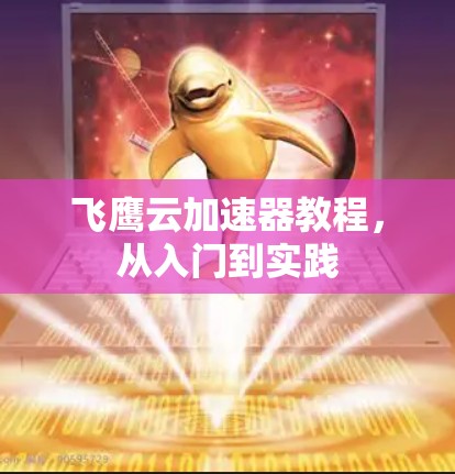 飞鹰云加速器教程,从入门到实践